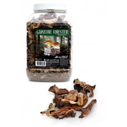GARNITURE FORESTIERE 500G